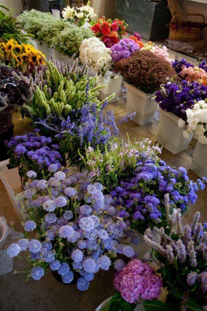 Whispering Twilight Pastel Floral Medley